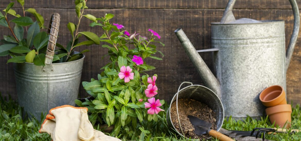 Guide pratique pour transformer les jardins traditionnels en paysages biodiversifiés