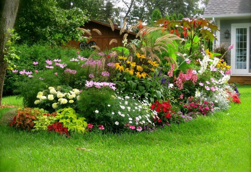 massifs floraux