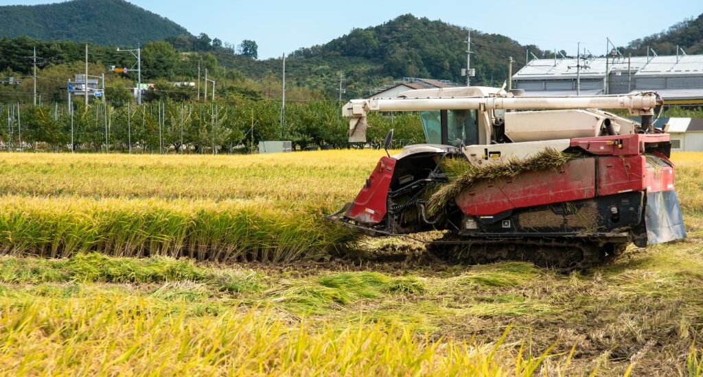 Maximiser l'efficacité de votre service de moisson : conseils d'experts