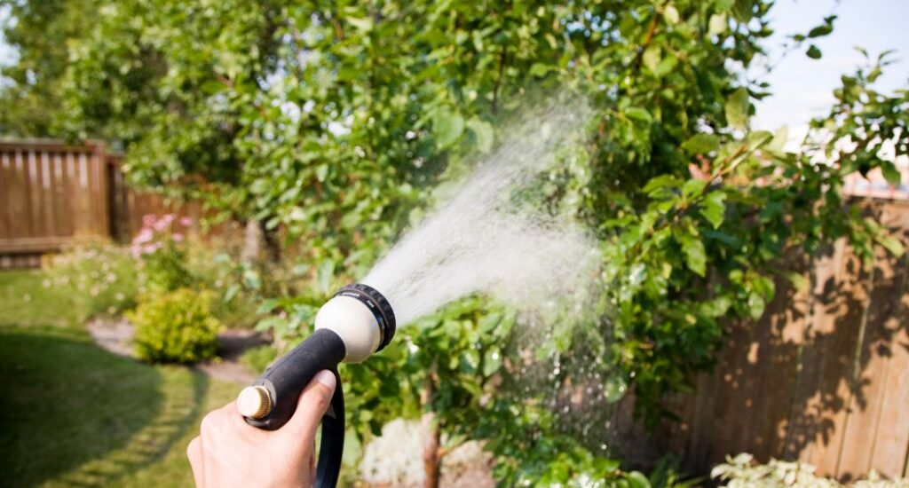 Besoins en eau des plantes à croissance rapide : défis et solutions d'irrigation