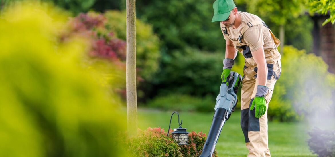 Entretien des jardins