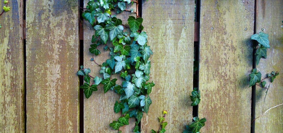 Comment choisir la clôture idéale pour votre jardin ?