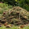 déchets verts